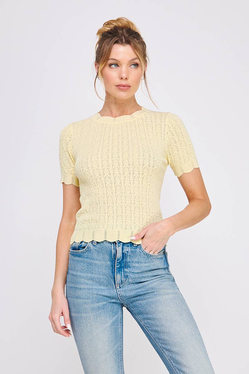 Pointelle Knit Top