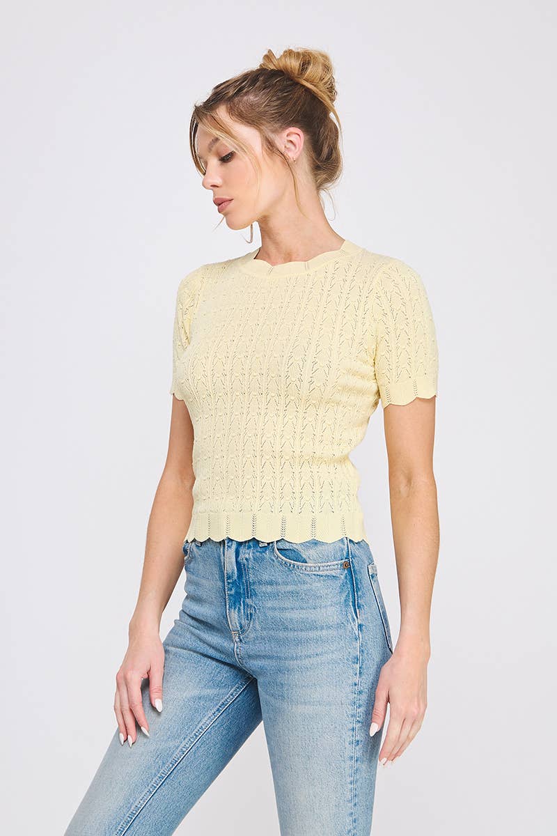 Pointelle Knit Top